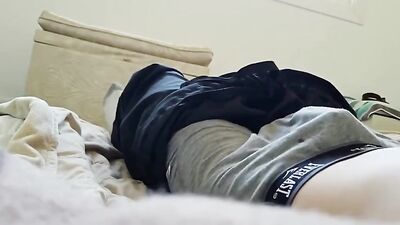 Gay Porn Handjob Action - Amature Bareback Lalula