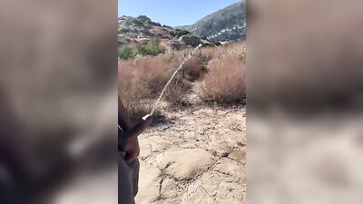 Stiff Boners: Pissing with Passion!