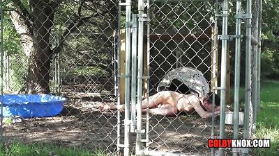 Mickey Knoxs Pup: A Gay Porn Sensation!