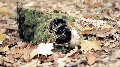 Gay Porn - Piss and Cum: Oral, Handjobs and Outdoor Action