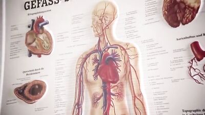 Swallowing Load - 638: The Ultimate Cum Shots and Bareback Oral Delight!