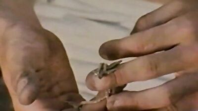 The Rivermen (Classic) - A Journey Through Gay Porn History