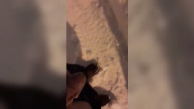 Erosuns XXXIII: Asian Outdoor Adventure - Explore the Rugged Side of Erotica!