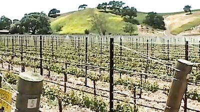 The Harvesting Fuckers - Gay Porn Videos