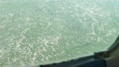 The Druid Peak Healing - Conservation Twist