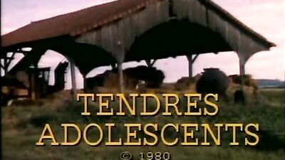 Vintage Gay Porn: Classic Cadinot Scenes - Action Cum Shots Group Sex Movies Oral!