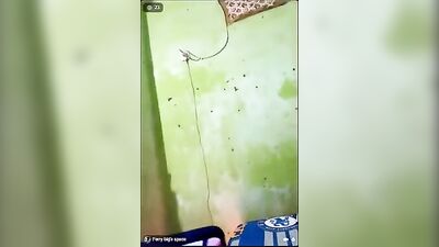 Asian Web-Cam Friends Enjoying Each Other - Merc2