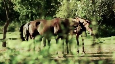 Czech Country Twink Bareback Orgy with Rough Cowboys - KTB