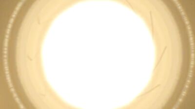 Wild Side Dreams: The Billy Rebellion