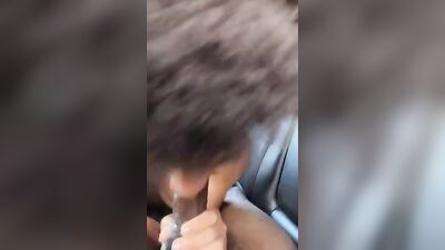 Cruising with BBC: Petite Lightskins Ultimate Adventure