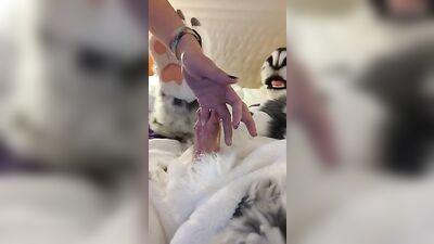 Furry Fetish - Split Dick Gets Urethra Fingered