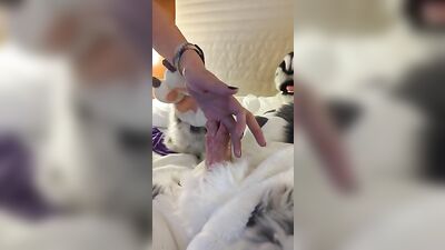 Furry Fetish - Split Dick Gets Urethra Fingered