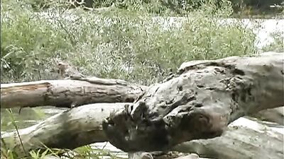 Sex Heaven: The Ultimate Gay Porn Experience