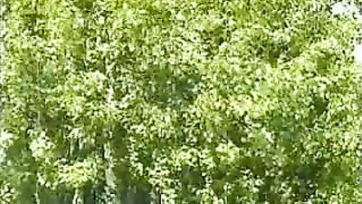 Gay Porn Revival: The Tender Age 2 - Rubax Videos Oral Cum Shot Handjob Public Outside Vintage Twinks!