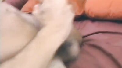 Cum Shot Sensations: Action Ass Play Fun Handjob Interracial Oral Porn