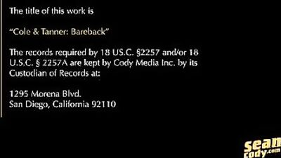 Inside the Infinity Pool - The Sofa Gay Porn Videos