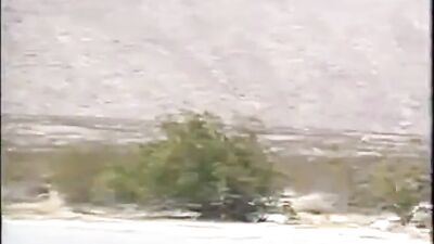 All American Boy Filling Twinks Dreams Gay Porn