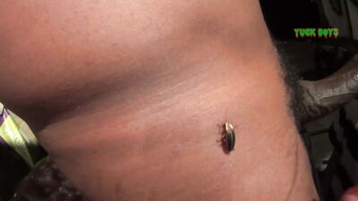 Tree House Saga Prelude