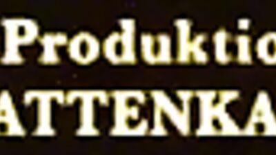 Cowboys Rustic Revenge