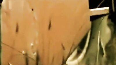 Cowboys Rustic Revenge