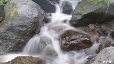 Almabtrieb: The Ultimate Twinks Cumshot Orgy!