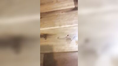 GayPornBank - Hot Cumshot Amateur Wanking (190 char)