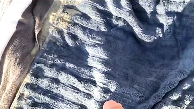 College Beach Threesome Massive Double Facial - BF148