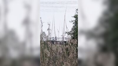 Teen Public Jerking - Gay Porn Adventure!