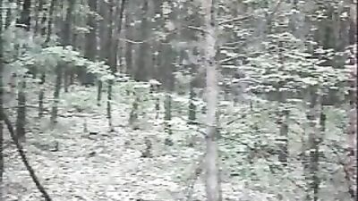 Forest Oral: Hitchhikers Pleasure Ride