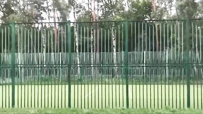 Workout naked at the park