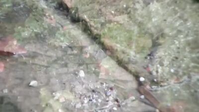 GayPorn - Rubax Video - Twink Boys Bangers: Oral Porn, Handjob, Cum Shots, Ass Play and More!