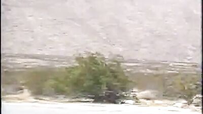 American Boys Raw: Vintage Twinks in Action!