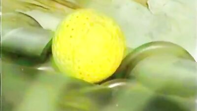 Spring Awakening: A Gay Porn Adventure