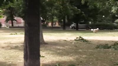 CH207: Muscle Boys Cum Shots in Amateur Public Bisexual First Time Fun Outside Oral Play with Big Cocks!