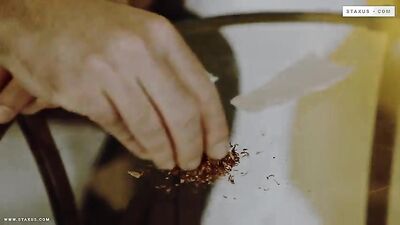 Hot Jock Pounds Cute Pizza Boy in Action-Packed Gay Porn Video