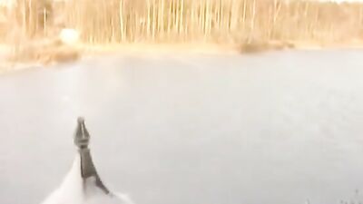 Young & Hung - Gay Frat Porn!