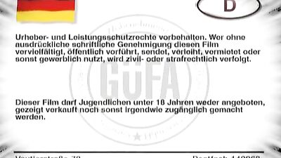 Pleasure Box Volume 7: The Ultimate Public Cum Shot Orgy