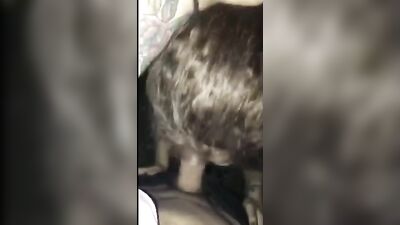 Daddy Mikey Barones Ultimate Cumshot Party