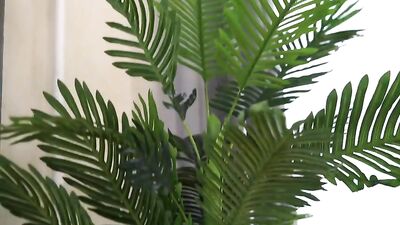 Straight Dudes Loving it Up with Zachary’s Monster Dick – A Handjob Special