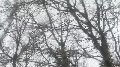 ???? Raoul Vasquez - What Should Happen ???? - Music