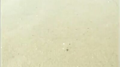 Big Cock Fun: Trained Muscles Play Hard Action