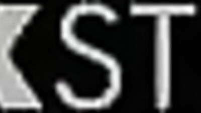 Gardeners Manual: Tips and Tricks to Maintaining Your Garden