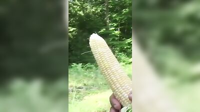 Eating Rice Balls in the Park - A Gay Caught on Camera