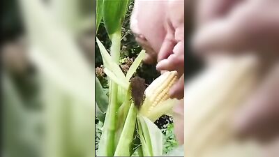 Eating Rice Balls in the Park - A Gay Caught on Camera