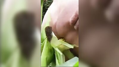 Eating Rice Balls in the Park - A Gay Caught on Camera