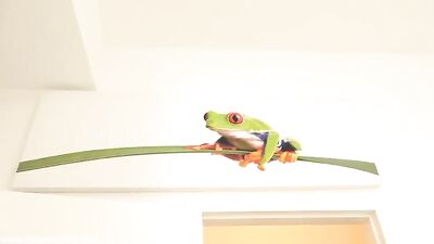 Two sexy twink studs go at it raw in a hot action scene