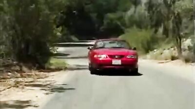 California Gold - Vintage Gay Porn Videos