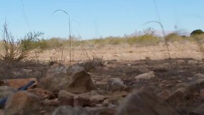 On The Road Again: Hot Barebacking Werewolves! Action-packed bareback scenes featuring twink werewolves!