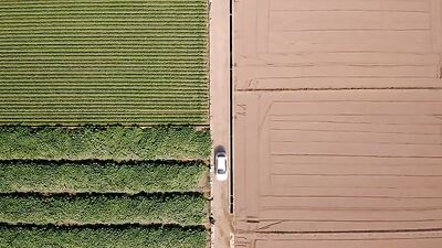 Me Quiere, No Me Quiere (2022) he Loves Me, HeLoves Me Not