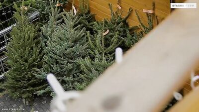 Hands-On Hotties - The Big Finish 2, Sc 4: Bareback Blowjob and Cum Shots with Twinky Twinks